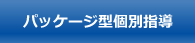 パッケージ型個別指導